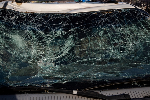 하이모터스 PC 이미지 2543538