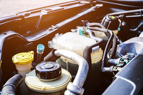 하이모터스 PC 이미지 2543535