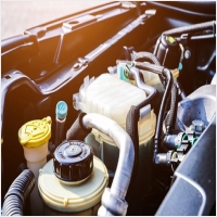 하이모터스 PC 갤러리 13